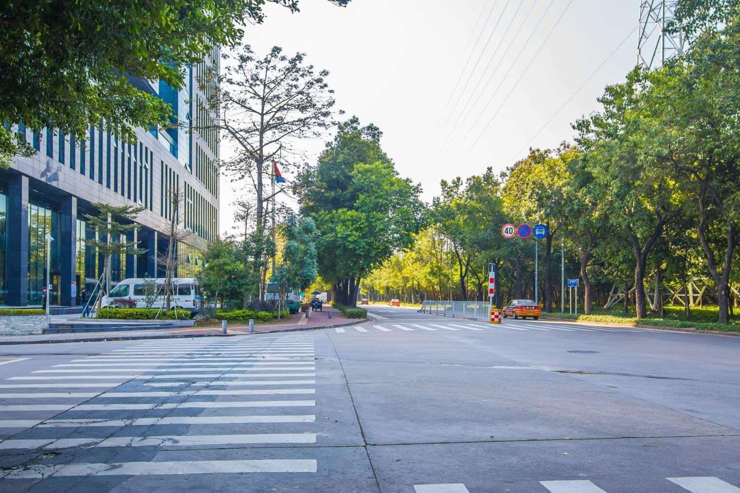 科陆大厦绿化步道