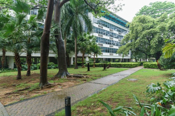 深圳软件园绿化步道