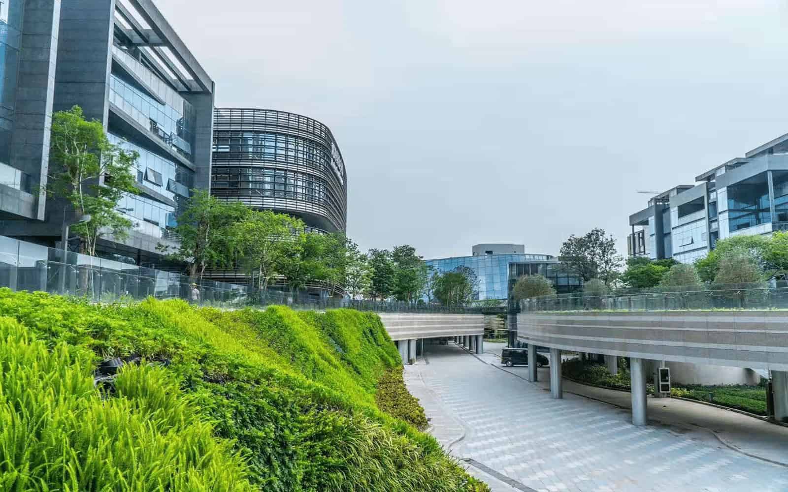 前海深港基金小镇绿化步道