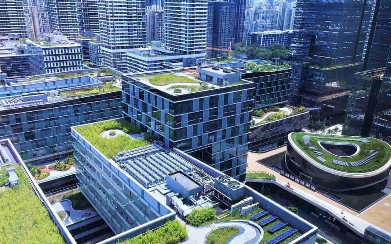 深圳湾科技生态园绿化步道