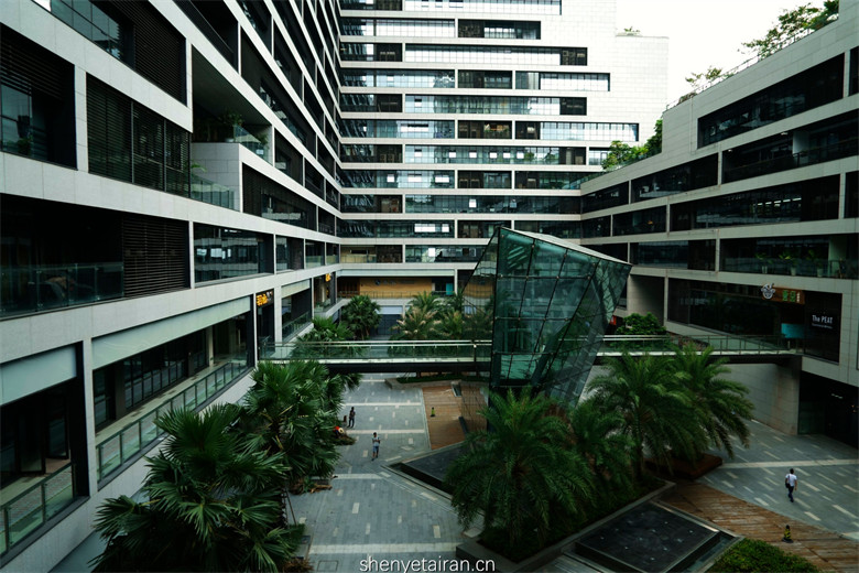 深业泰然大厦绿化步道