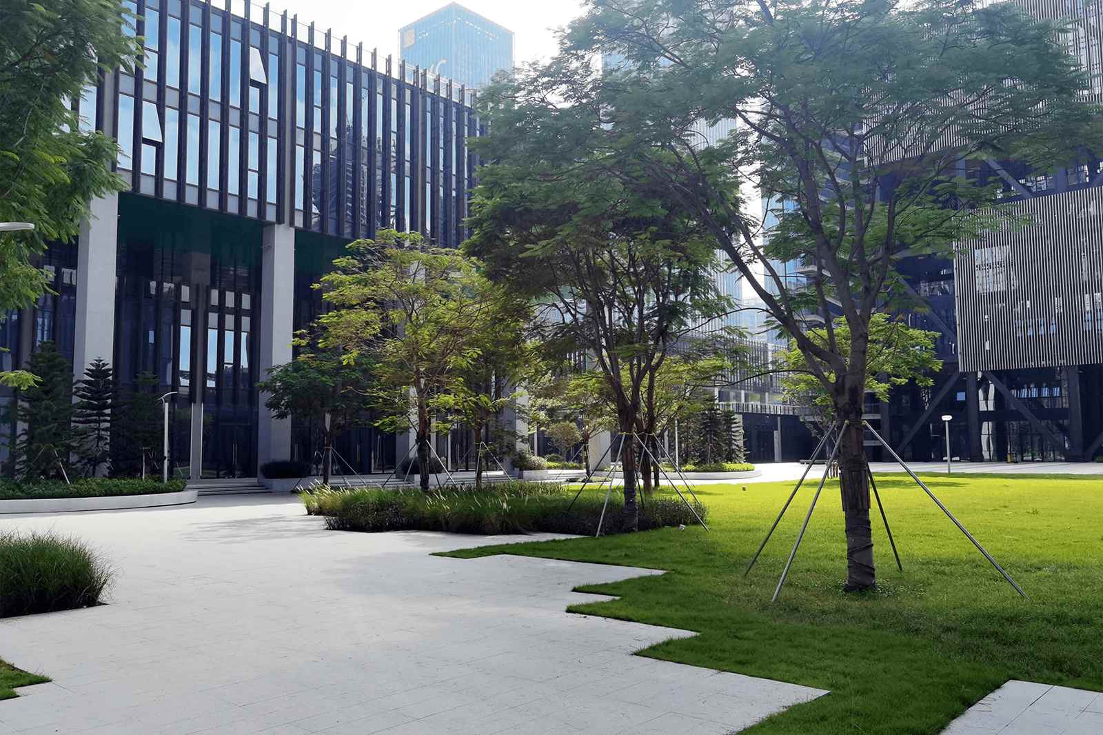 粤港澳青年创业区园区园林景观
