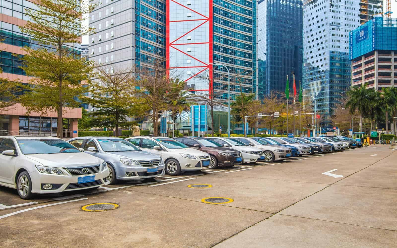 中电照明大厦园区园林景观